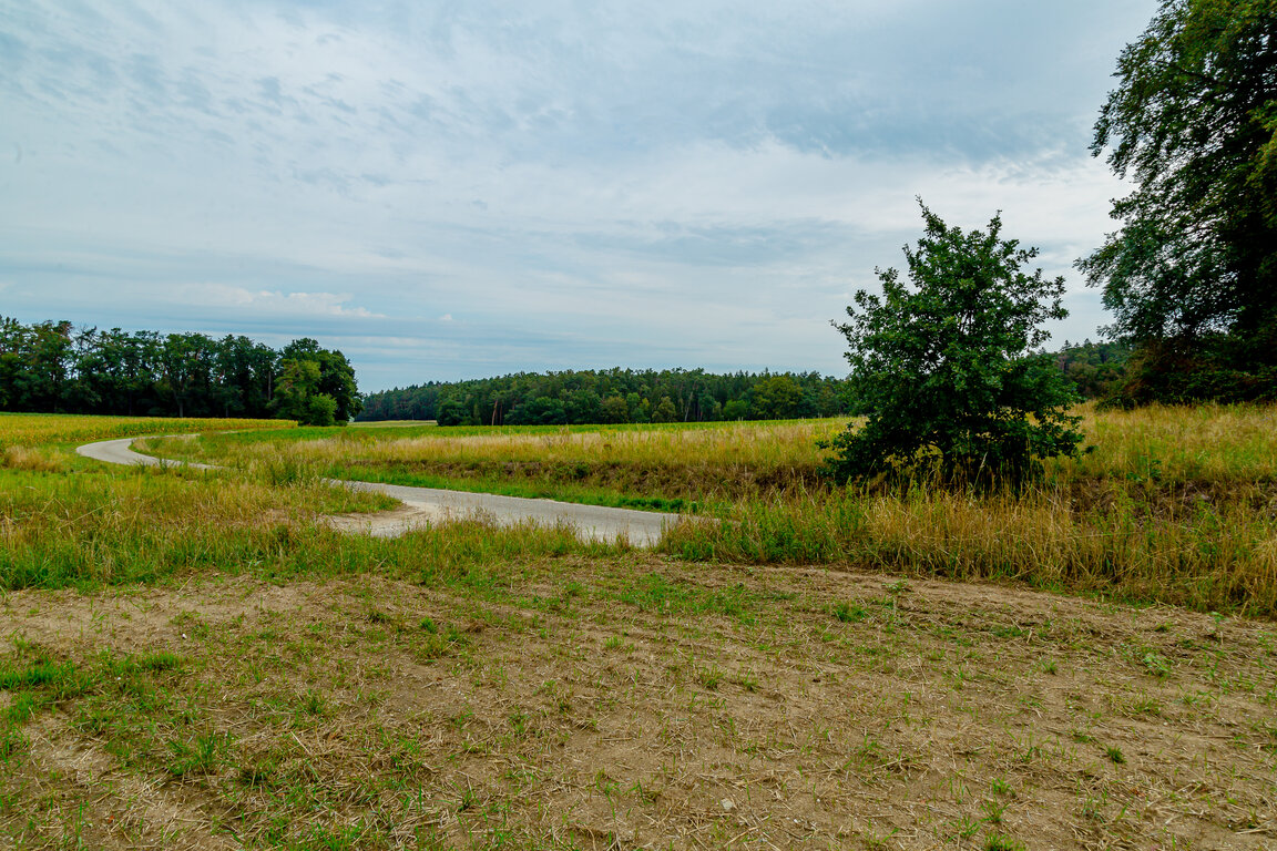 Image: _JA 40716 Natur pur.jpg